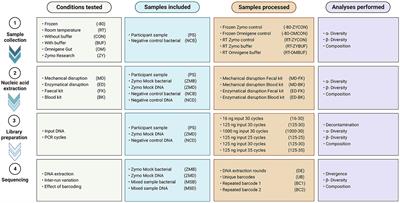 Reducing bias in microbiome research: Comparing methods from sample collection to sequencing